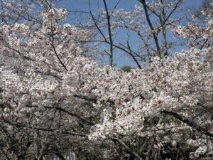 週の折り返し。少しだけ「自分へのご褒美」を。 Img 0611 300x225